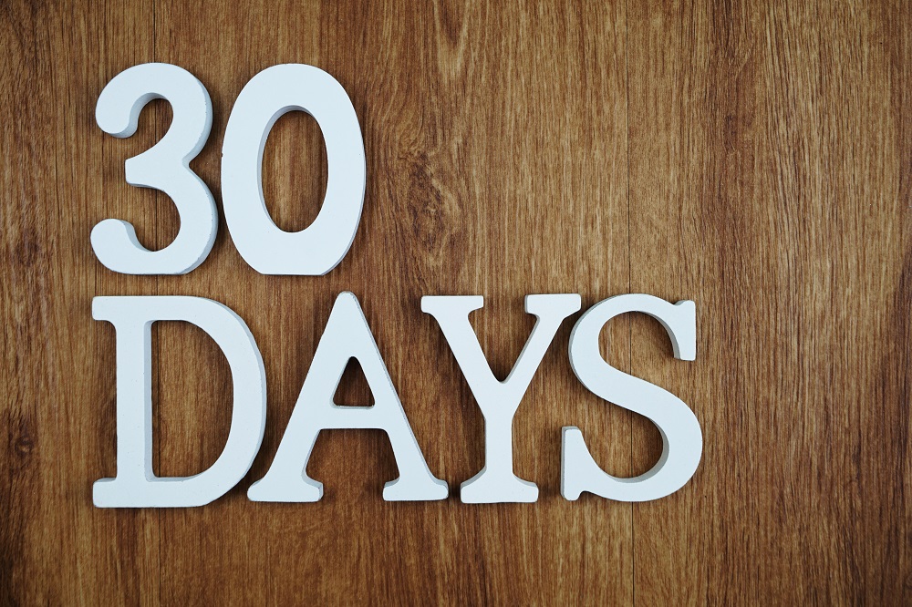 30 Days to Sales Success: A Blueprint for Growth